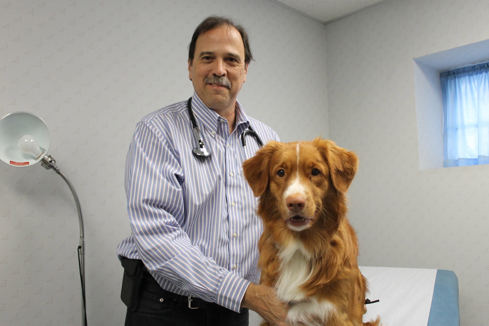 Dr. Stanley A. Lobitz, MD, with Drake, the practice's Nova Scotia Duck Tolling Retriever